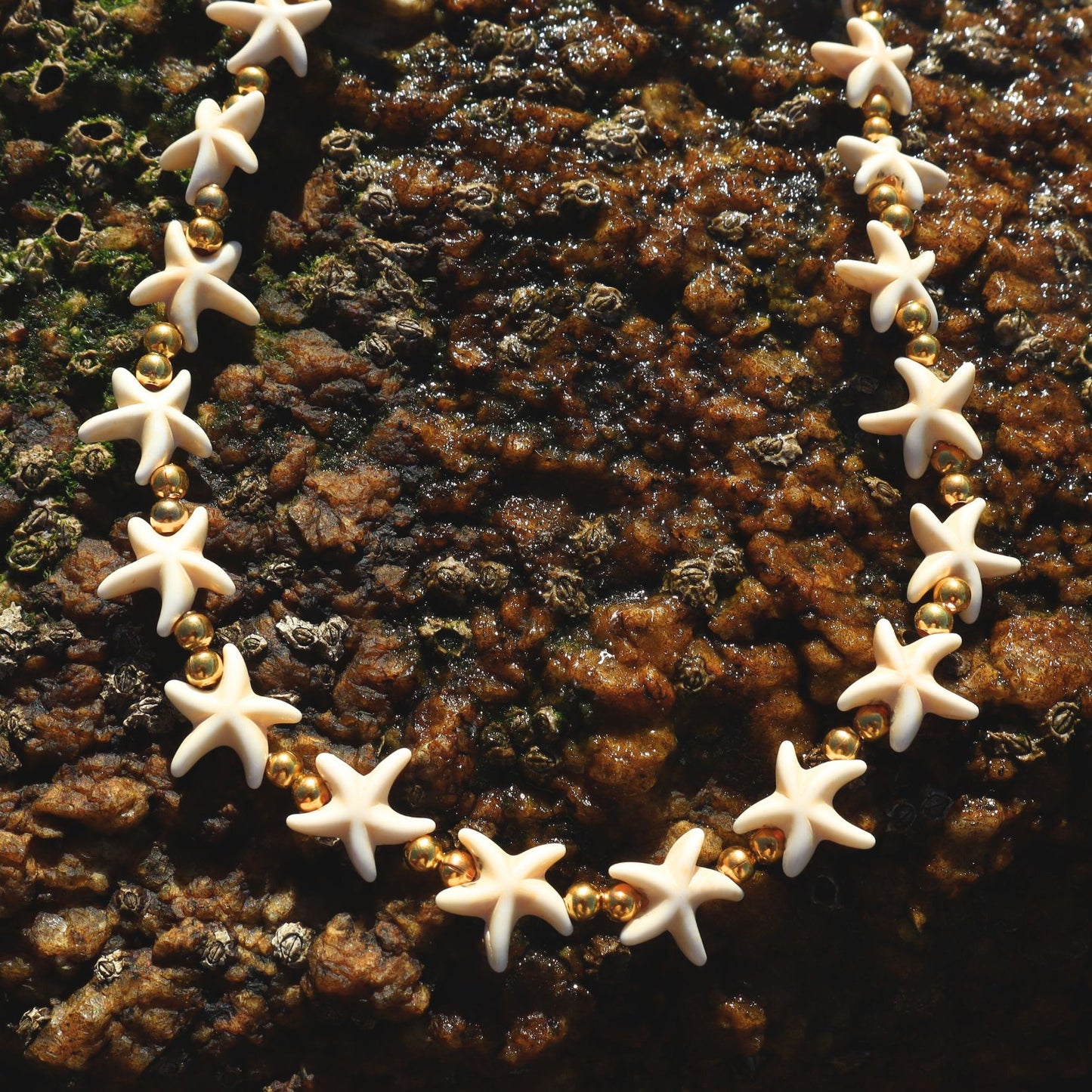 COLLAR ESTRELLAS HOWLITA