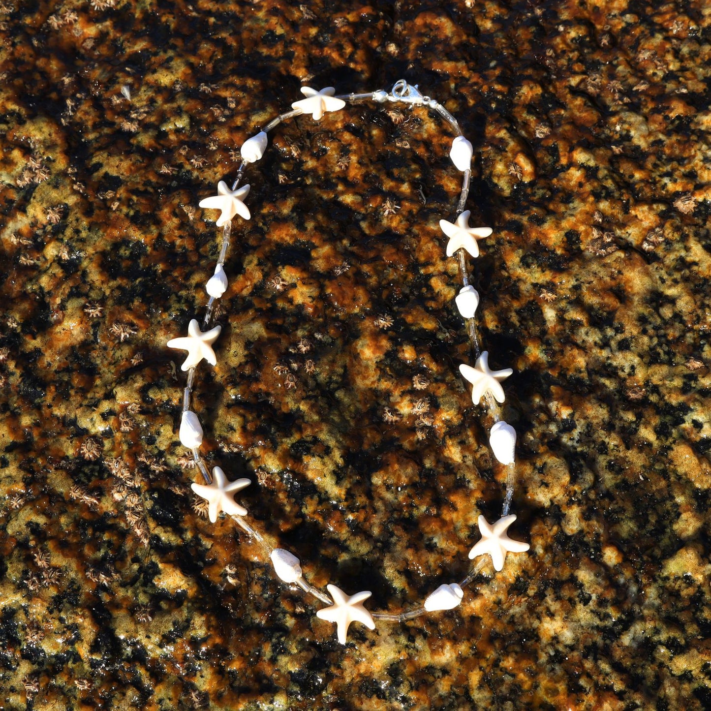 COLLAR CONCHITAS Y ESTRELLAS